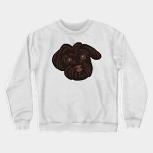 Cute Dark Chocolate Color Maltipoo Crewneck Sweatshirt